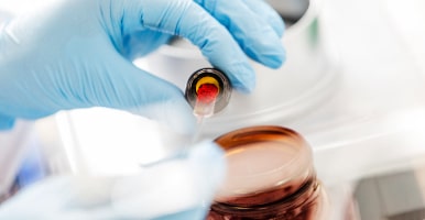 sys-master_images_h6f_h79_10202223575070_Customs+image